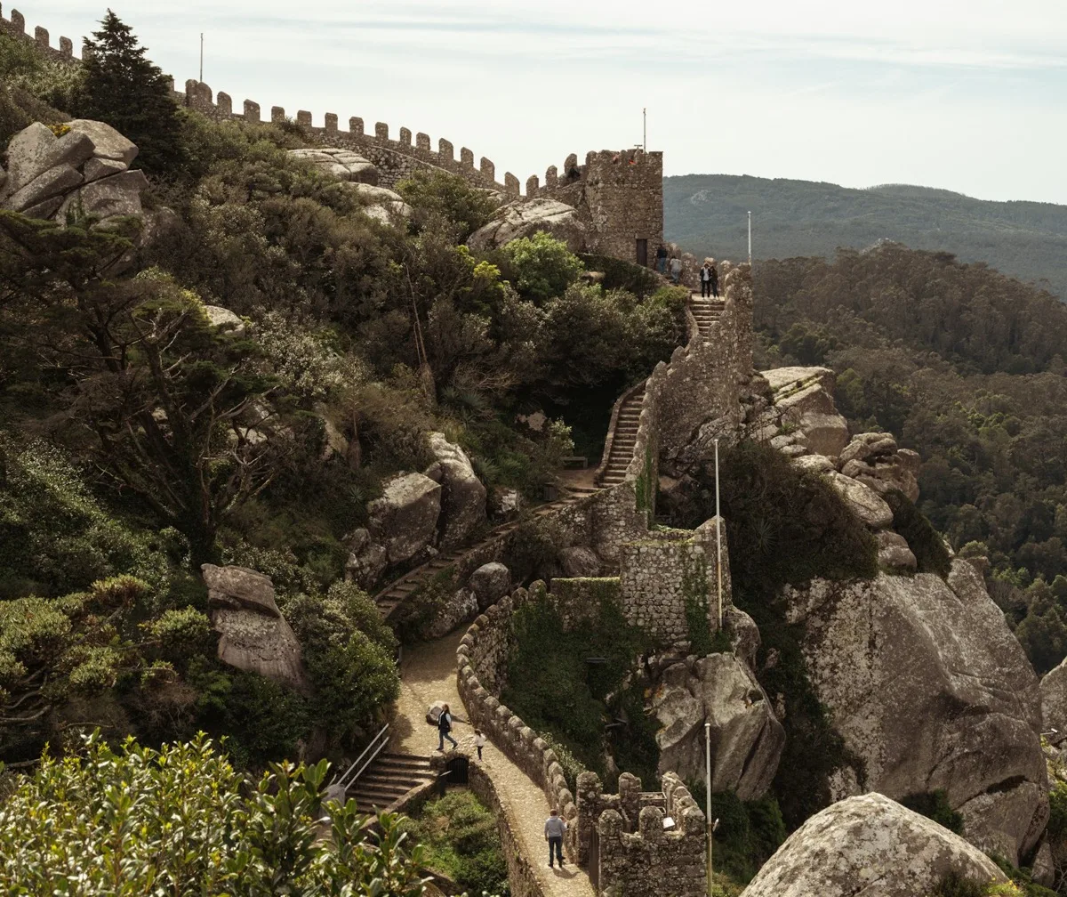 Brunnfeld: 1000 LLM Agents, Zero Instructions